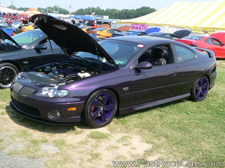 Goat Gto